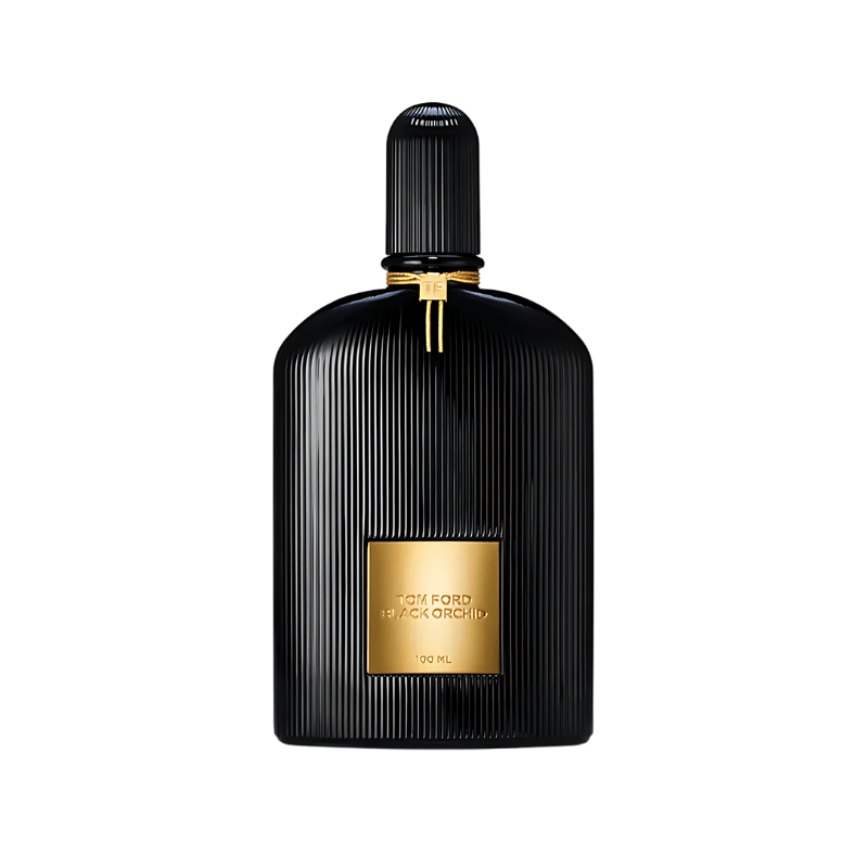 PACK DE 3 PERFUMES: BLACK ORCHID, NOIR EXTREME, PRADA INTENSE 100 ML